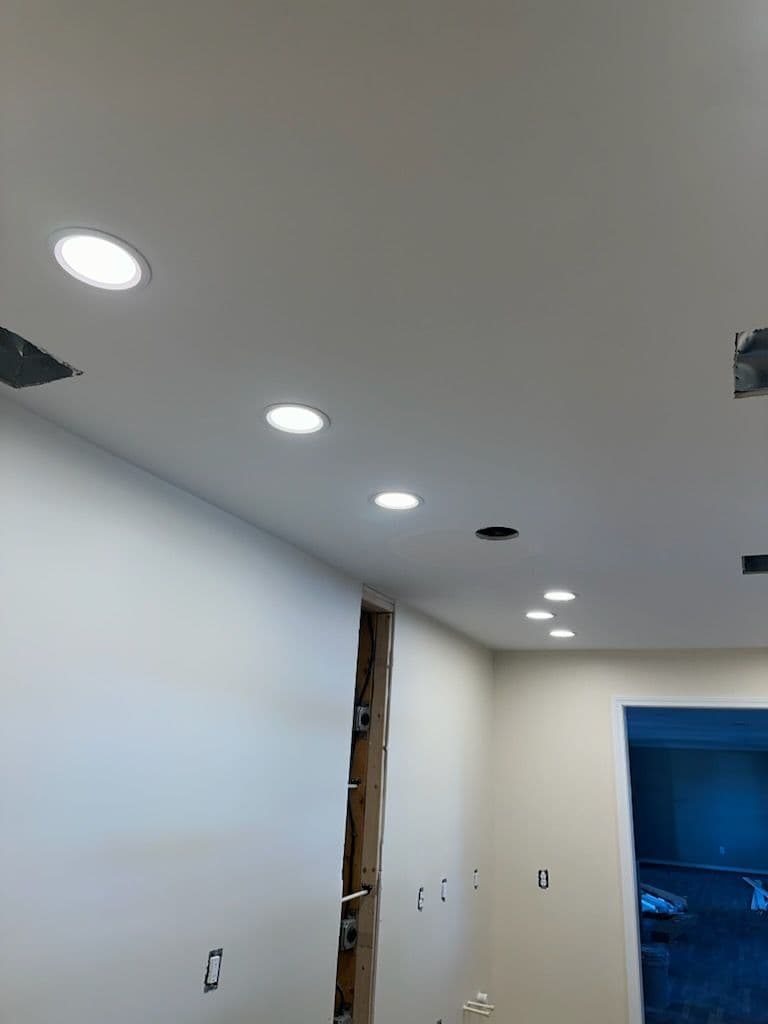 Project Lighting and Panel Upgrade in Helen & Lula image